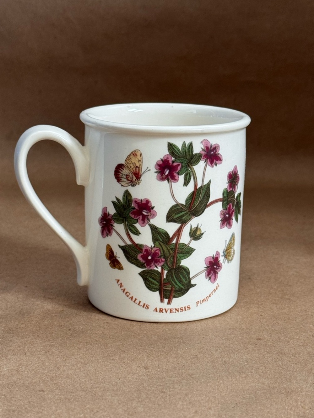 Portmeirion Botanic Garden Pimpernel Ceramic Mug. 10 fl oz